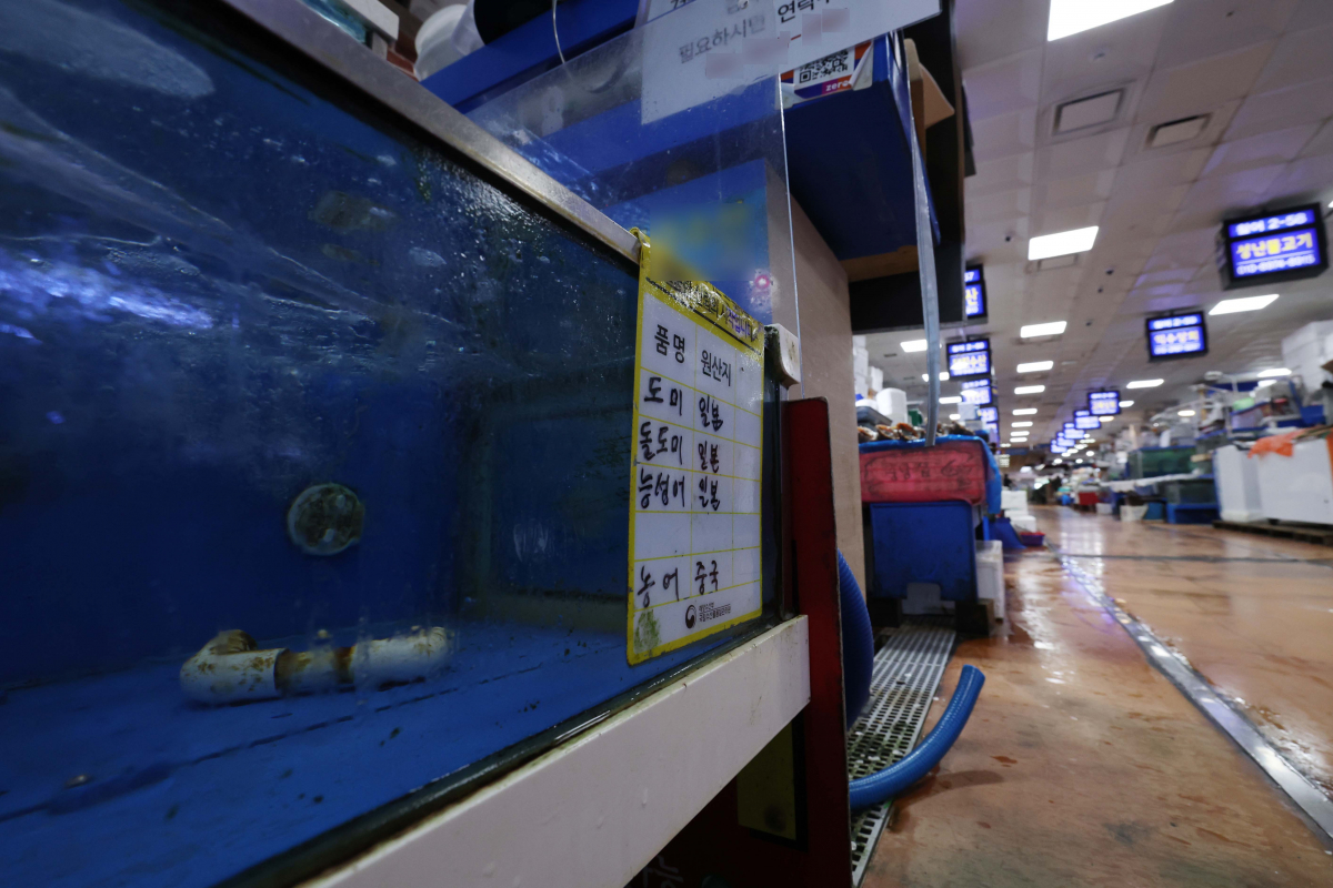 ▲지난달 우리나라의 일본 어패류 수입량이 30% 넘게 줄어 석 달 연속 감소세를 이어간 것으로 나타났다. 17일 관세청 무역통계에 따르면 지난 6월 우리나라의 일본 어패류 수입량은 1910t으로 지난해 동월보다 34.7% 줄었다. 수입액도 1015만6000달러로 21.7% 줄었다. 이로써 수입량과 수입액 모두 석 달 연속 감소세가 지속됐다. 일본이 후쿠시마 원전 오염수 해양 방류를 예고하며 일본에서 수입하는 수산물에 대한 우려가 커지는 것이 영향을 미친 것으로 보인다. 이날 서울 노량진수산시장의 한 상점에 수산물 원산지 안내표가 붙어있다. 신태현 기자 holjjak@