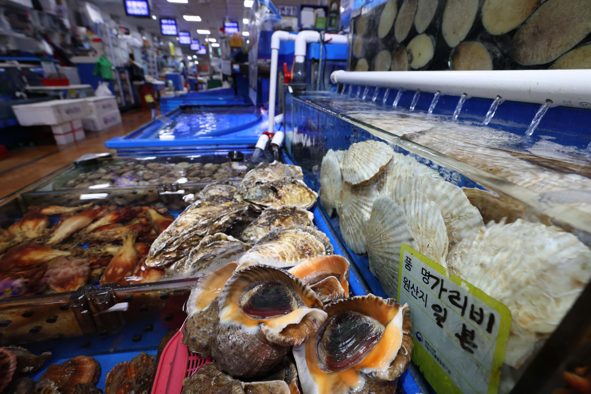 ▲서울 노량진수산시장 전경. 사진은 기사 내용과 무관함. (이투데이DB)