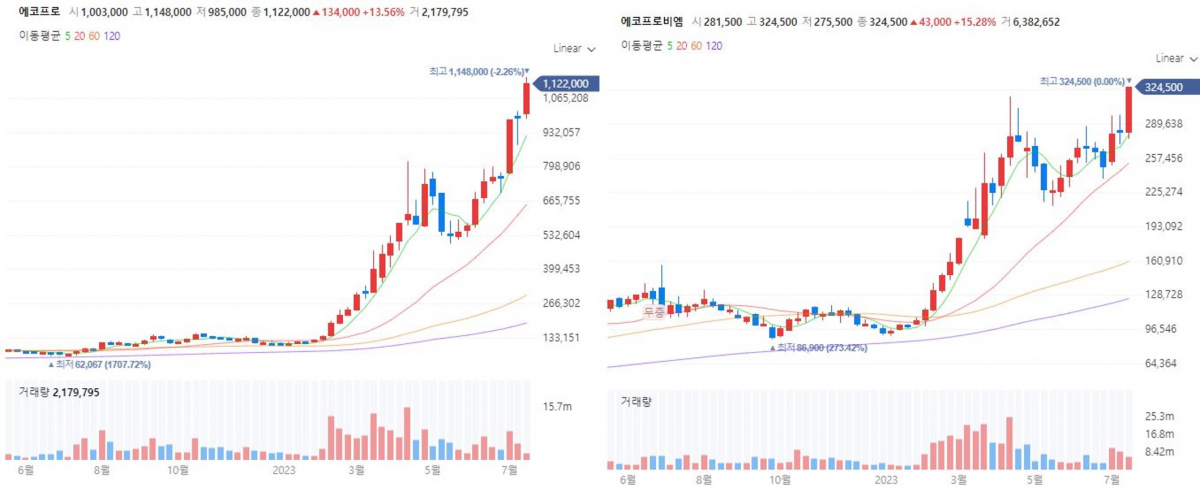 ▲에코프로, 에코프로비엠 차트 (출처=네이버증권)