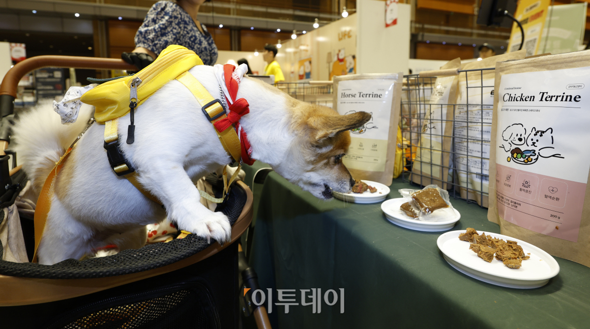 ▲21일 서울 강남구 코엑스에서 열린 '2023 케이펫페어'에서 반려견이 간식을 살펴보고 있다. 조현호 기자 hyunho@