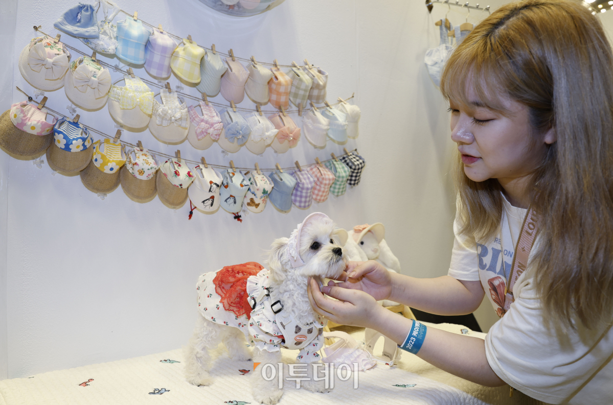 ▲21일 서울 강남구 코엑스에서 열린 '2023 케이펫페어'에서 관람객이 반려견 의류를 살펴보고 있다. 조현호 기자 hyunho@