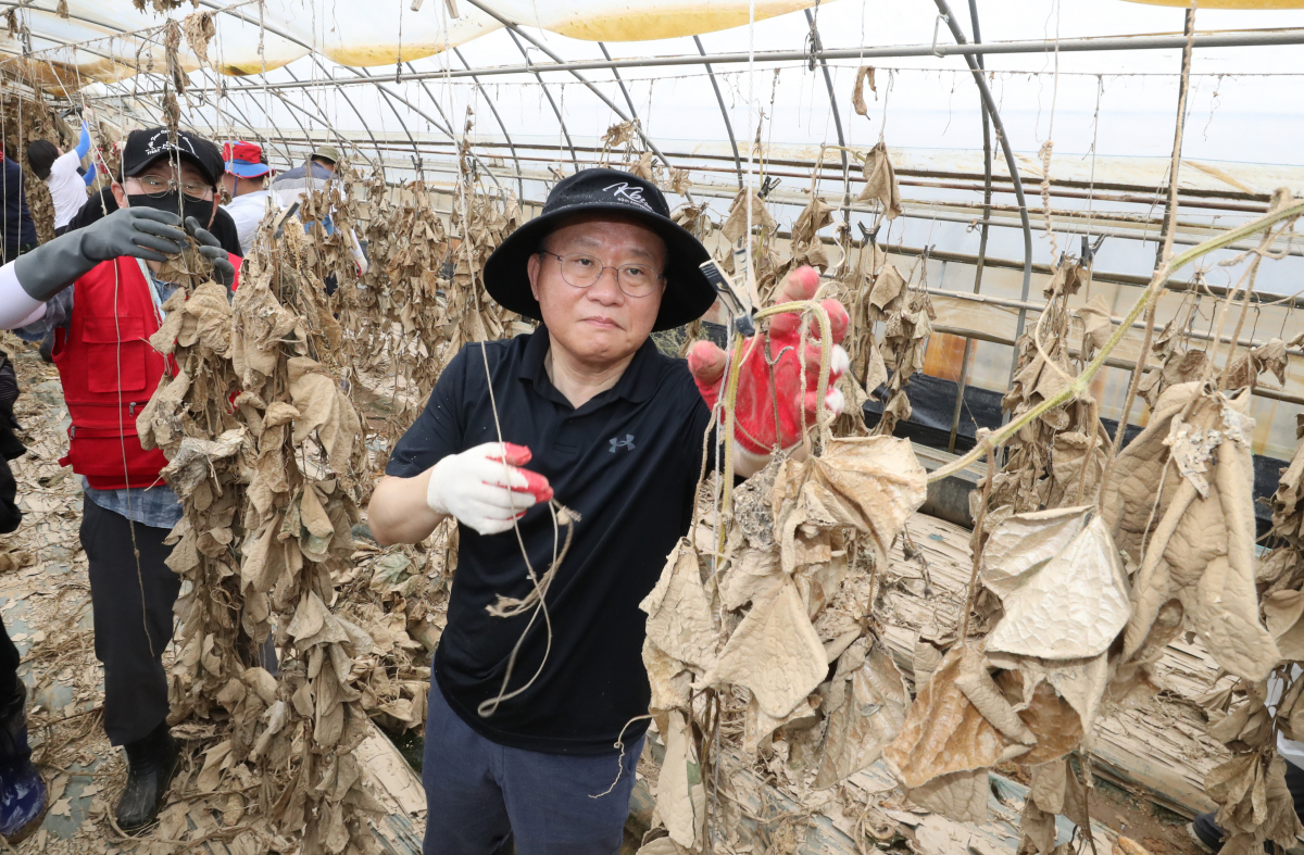 ▲윤재옥 국민의힘 원내대표가 24일 오전 수해 피해를 입은 충청북도 청주시 오송읍 호계리에서 수해복구 봉사활동을 하고 있다. (뉴시스)