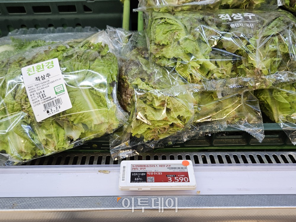 ▲27일 서울 동대문구 홈플러스 동대문점에서 최근 가격이 급등한 상추를 할인 판매하고 있다. (문현호 기자 m2h@)