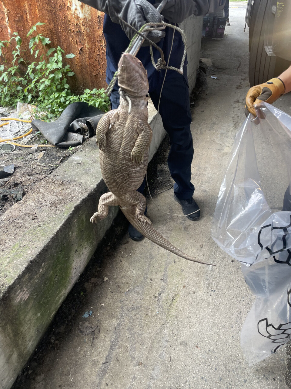 (사진제공=영주소방서)