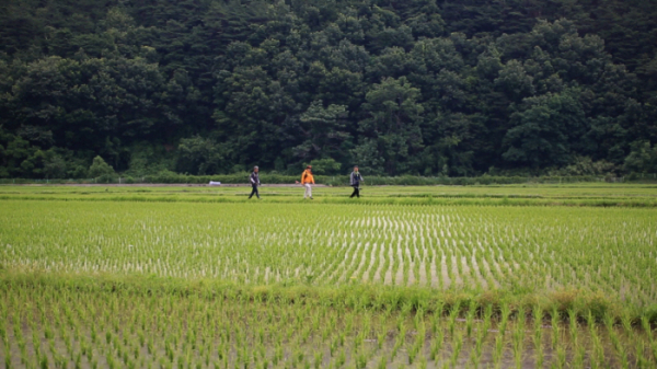 ▲'영상앨범 산' 동서 트레일(사진제공=KBS 2TV)