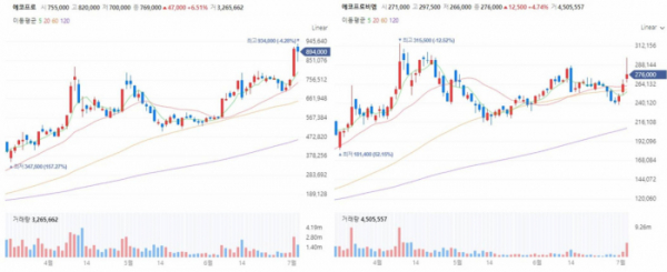 ▲에코프로, 에코프로비엠 차트 (출처=네이버증권)