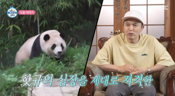 ▲'나혼자산다' 김광규(사진=MBC 방송화면 캡처)