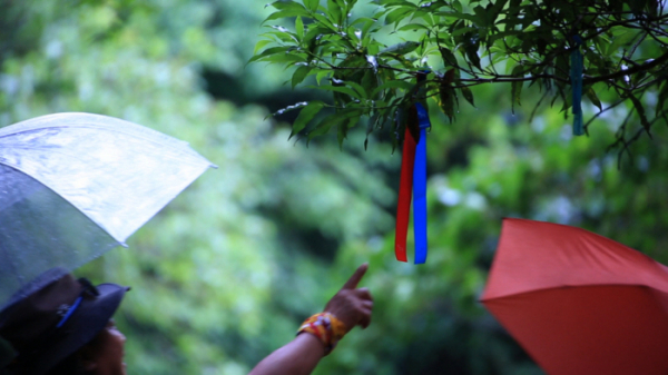 ▲'영상앨범 산'(사진제공=KBS 2TV)