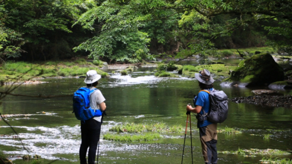 ▲'영상앨범 산'(사진제공=KBS 2TV)