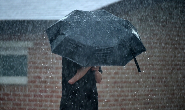 ▲장맛비가 내린 11일 오후 대구 북구 경북대학교에서 한 학생이 우산을 쓴 채 빗속을 걸어가고 있다. (뉴시스)
