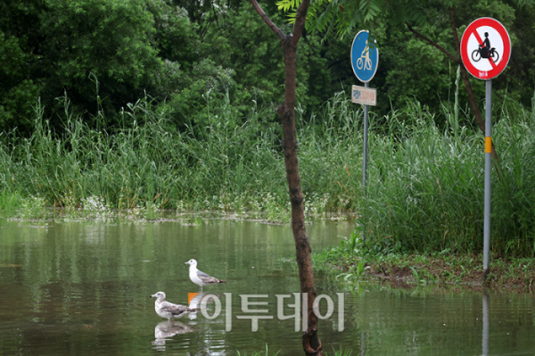 ▲전국 대부분 지역에 강한 장맛비가 쏟아지는 14일 서울 반포 한강공원이 전날 내린 집중호우로 물에 잠겨 있다. 고이란 기자 photoeran@