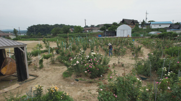▲'건축탐구 집' (사진제공=EBS1)