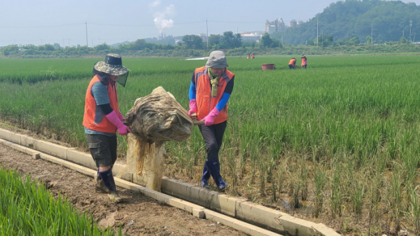 ▲한국타이어 임직원들이 참여한 청주지역 수해 복구 활동 현장. (사진제공=한국타이어앤테크놀로지)