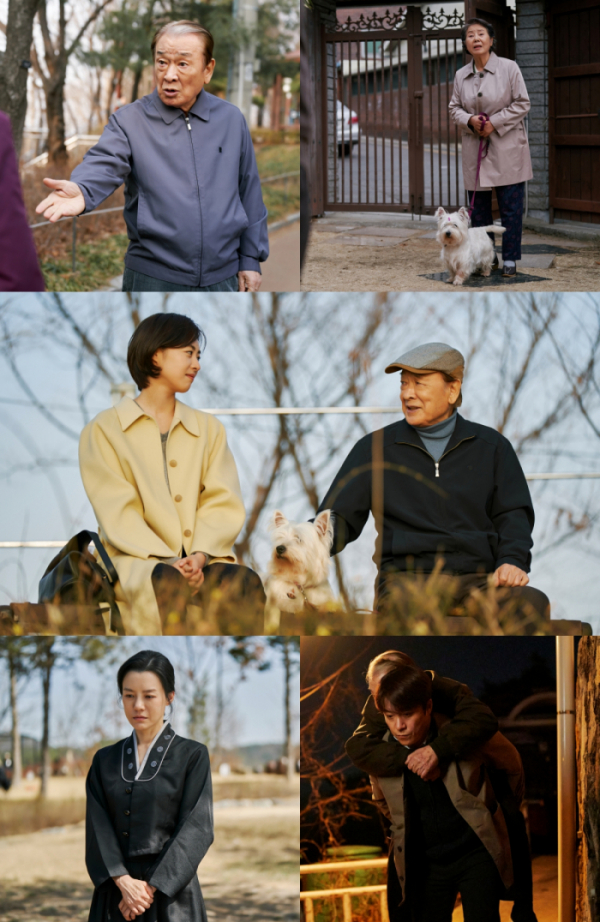 ▲'오프닝2023 산책'(사진제공=tvN)