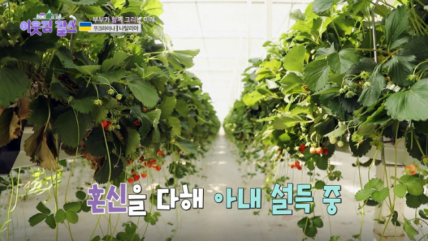 ▲'이웃집 찰스'(사진제공=KBS 1TV)