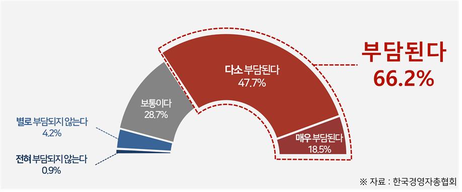 ▲현재 소득 대비 연금보험료 부담 수준 (출처=한국경영자총협회)
