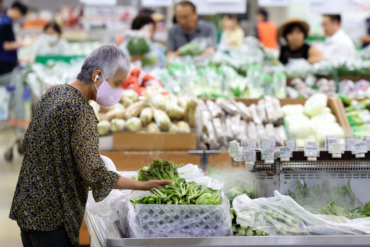 ▲지난달 집중호우로 인해 상추와 시금치 등 일부 채소 도매가격이 한 달 만에 2배로 오른 것으로 나타났다. 2일 농수산식품유통공사(aT) 농산물유통정보에 따르면 전날 기준 적상추(상품) 도매가격은 4㎏에 5만9080원으로 한 달 전(2만6160원)과 비교해 125.8% 올랐다. 시금치(상품) 도매가격도 4㎏에 4만7920원으로 한 달 전(2만2200원)보다 115.9% 상승했다. 농림축산식품부는 폭염과 태풍 등이 농산물 가격 상승의 변수가 될 수 있다고 보고 공급 확대, 할인 지원 등의 대책을 강구하고 있다. 이날 서울의 한 대형마트에서 시민들이 채소를 살펴보고 있다. 신태현 기자 holjjak@