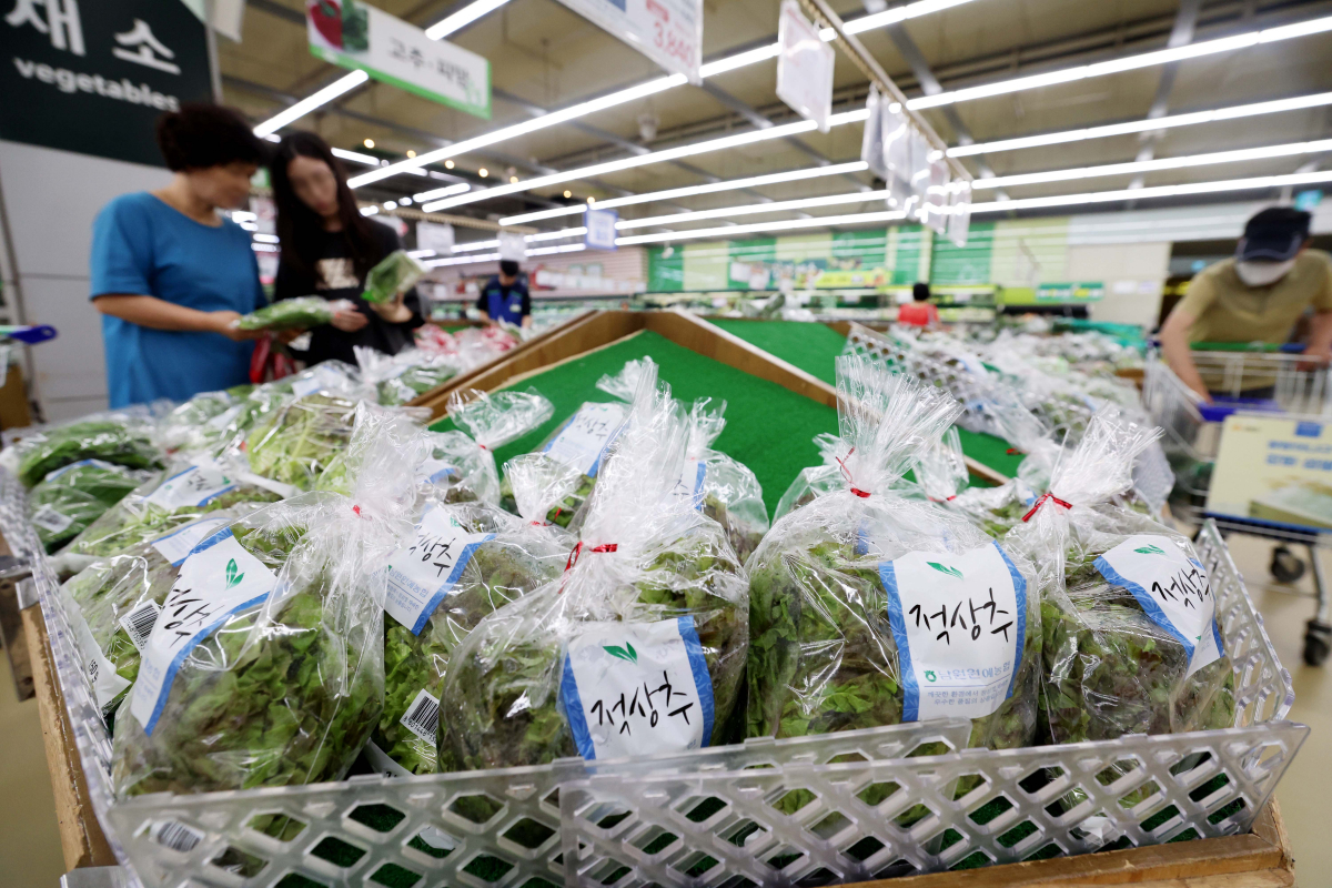 ▲지난달 집중호우로 인해 상추와 시금치 등 일부 채소 도매가격이 한 달 만에 2배로 오른 것으로 나타났다. 2일 농수산식품유통공사(aT) 농산물유통정보에 따르면 전날 기준 적상추(상품) 도매가격은 4㎏에 5만9080원으로 한 달 전(2만6160원)과 비교해 125.8% 올랐다. 시금치(상품) 도매가격도 4㎏에 4만7920원으로 한 달 전(2만2200원)보다 115.9% 상승했다. 농림축산식품부는 폭염과 태풍 등이 농산물 가격 상승의 변수가 될 수 있다고 보고 공급 확대, 할인 지원 등의 대책을 강구하고 있다. 이날 서울의 한 대형마트에서 시민들이 채소를 살펴보고 있다. 신태현 기자 holjjak@