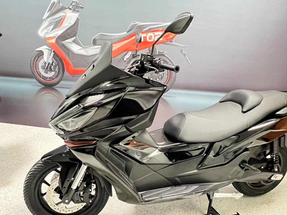 (사진제공=셀루메드)