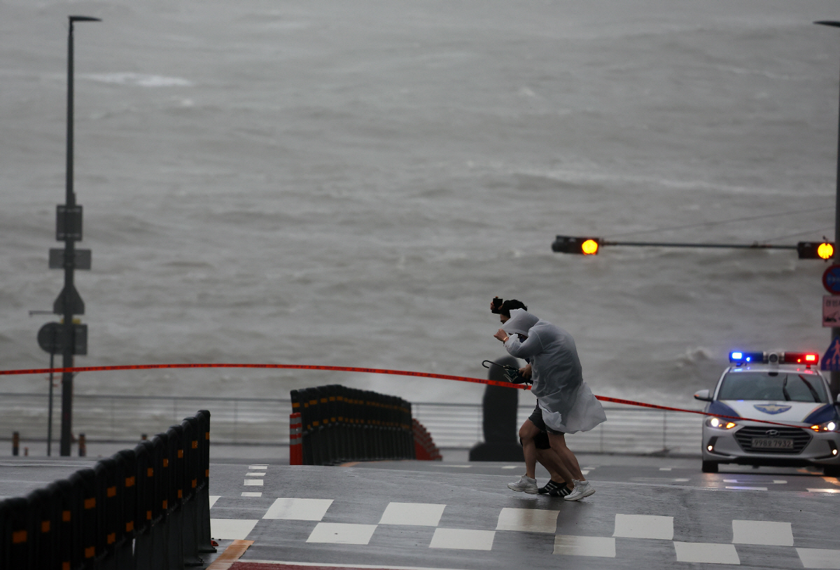 ▲제6호 태풍 ‘카눈’이 남해안에 상륙한 10일 오전 부산 미포항 부근에서 시민들이 힘겹게 강풍을 뚫고 걸어가고 있다. (연합뉴스)
