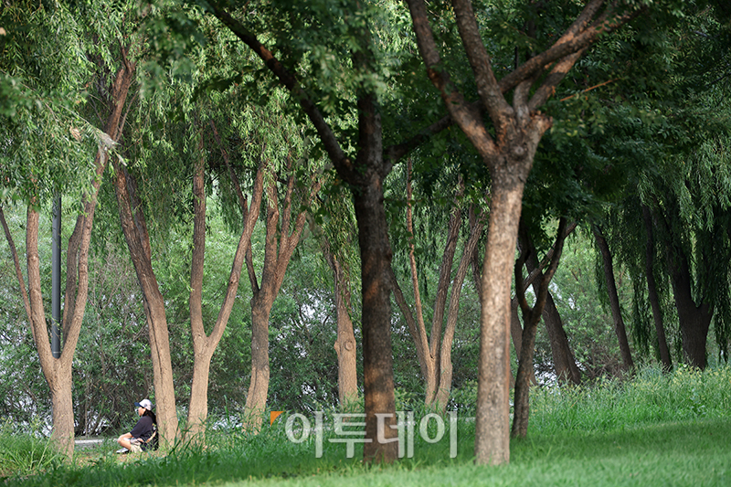 ▲서울 전역에 오존주의보가 내려진 18일 서울 양화 한강공원에 시민들이 그늘에서 휴식을 취하고 있다. 오존주의보는 오존이 시간당 평균 0.12ppm 이상일 때 발령하고 그 미만이면 해제한다.고이란 기자 photoeran@