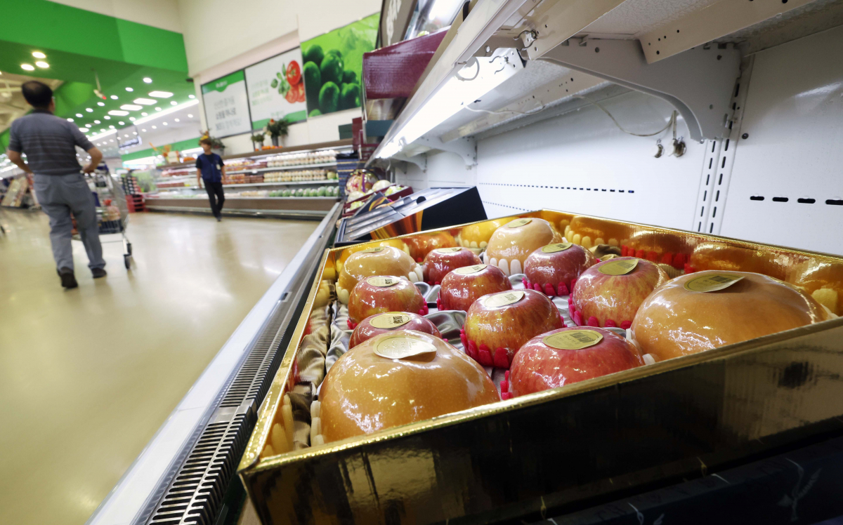 ▲장마와 폭염에 태풍 영향까지 겹치며 사과와 배 생산량이 크게 줄어, 올해 추석 과일 수급에 어려움이 클 전망이다. 21일 한국농수산식품유통공사(aT) 농산물유통정보에 따르면 선물세트용 사과로 쓰이는 홍로(상품, 10kg)의 평균 도매가는 18일 기준 9만7920원으로 1년 전(6만6188원)보다 47.9%나 올랐다. 배는 올해 수확한 원황(상품, 15kg) 품종의 도매가가 5만5840원으로 1년 전보다 20.2% 더 비쌌다. 한국농촌경제연구원은 올해 사과 생산량이 지난해보다 18.7%, 배는 21.8% 줄어들 것으로 전망했다. 이날 서울의 한 대형마트에 과일 선물세트가 진열돼 있다. 신태현 기자 holjjak@