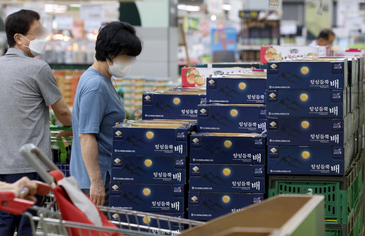 ▲장마와 폭염에 태풍 영향까지 겹치며 사과와 배 생산량이 크게 줄어, 올해 추석 과일 수급에 어려움이 클 전망이다. 21일 한국농수산식품유통공사(aT) 농산물유통정보에 따르면 선물세트용 사과로 쓰이는 홍로(상품, 10kg)의 평균 도매가는 18일 기준 9만7920원으로 1년 전(6만6188원)보다 47.9%나 올랐다. 배는 올해 수확한 원황(상품, 15kg) 품종의 도매가가 5만5840원으로 1년 전보다 20.2% 더 비쌌다. 한국농촌경제연구원은 올해 사과 생산량이 지난해보다 18.7%, 배는 21.8% 줄어들 것으로 전망했다. 이날 서울의 한 대형마트에 배가 진열돼 있다. 신태현 기자 holjjak@