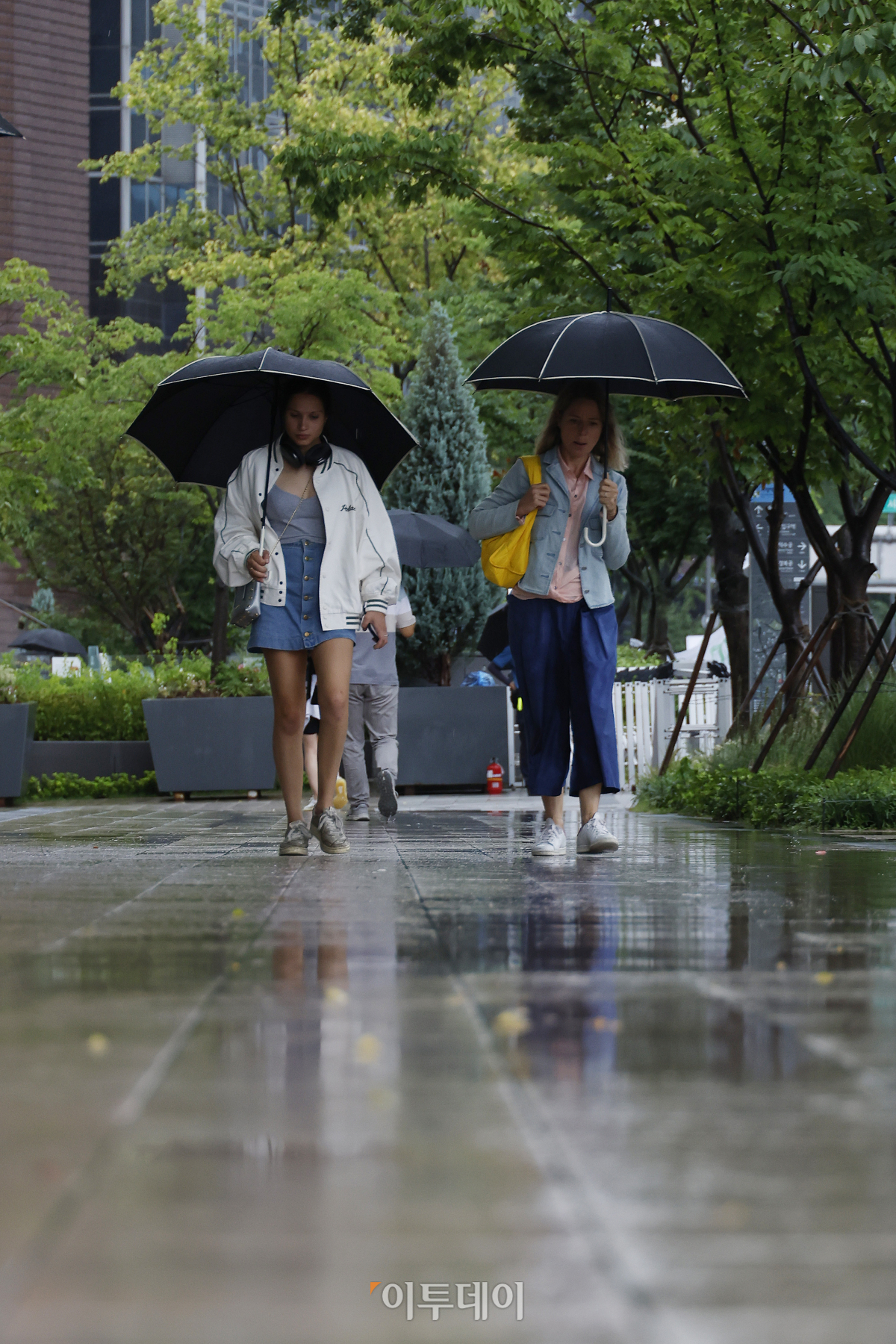 ▲더위가 물러가고 아침저녁으로 시원한 바람이 분다는 절기상 '처서'(處暑)인 23일 서울 중구 시청역 일대에서 우산을 쓴 시민들이 발걸음을 재촉하고 있다. 기상청은 이날 전국이 기압골의 영향을 받아 흐리고 중부지방과 전라권을 중심으로 강하고 많은 비가 내리겠다고 예보했다. 조현호 기자 hyunho@