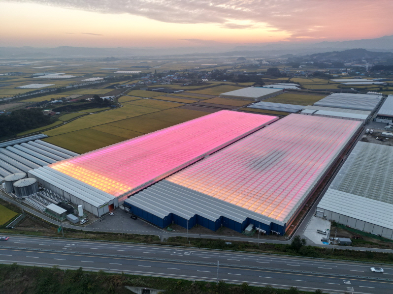 ▲우듬지팜의 스마트팜 전경 (사진제공=우듬지팜)