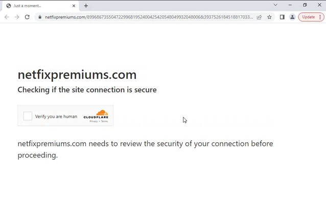 ▲넷플릭스 구독 갱신 및 계정 확인을 위장한 피싱 사이트 연결 전 가짜 보안접속 확인 페이지 (사진제공=안랩)