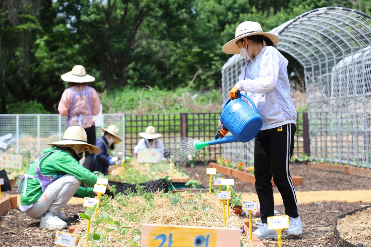 ▲도심 속 텃밭. (사진제공=농촌진흥청)
