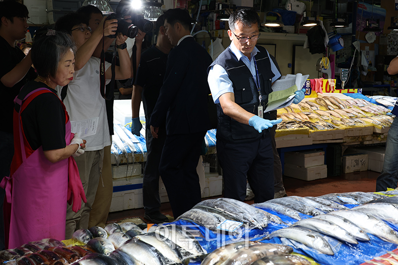 ▲해양수산부 수산물 원산지표시 점검반 관계자가 29일 서울 수협강서공판장 수산물 시장에서 원산지표시 이행 현장점검을 하고 있다. 고이란 기자 photoeran@