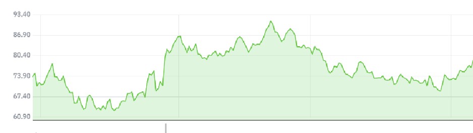 ▲베스트바이 최근 1년 주가 추이 (네이버증권)