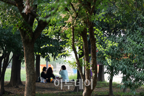 ▲서울 전역에 오존주의보가 내려진 18일 서울 양화 한강공원에 시민들이 그늘에서 휴식을 취하고 있다. 오존주의보는 오존이 시간당 평균 0.12ppm 이상일 때 발령하고 그 미만이면 해제한다.고이란 기자 photoeran@