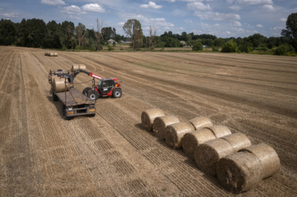 ▲8월10일 우크라 수도 인근의 키이우주 주리우카 소재 한 농장에서 트랙터가 수확후 밀짚을 거둬들이고 있다.  (주리우카(우크라)=AP/뉴시스)