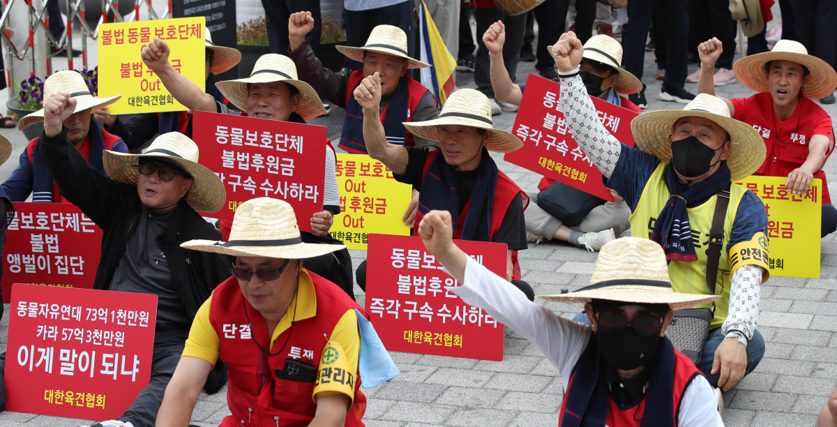 ▲대한육견협회 회원들이 8일 오후 서울 용산구 대통령실 앞에서 개식용 종식 발언 김건희 여사 규탄 및 동물보호단체 후원금 조사 등을 촉구하는 집회를 하고 있다. (뉴시스)