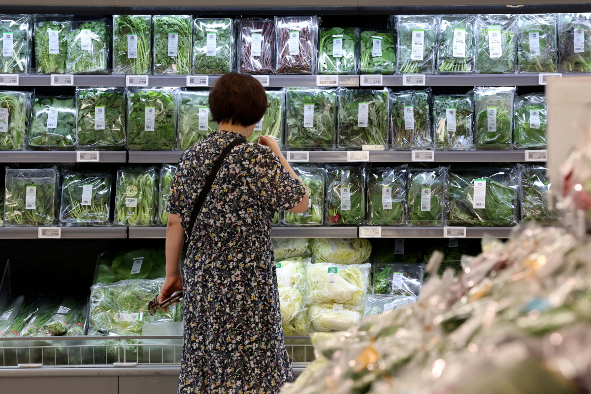 ▲8월 소비자물가가 폭염·폭우 등 영향으로 4개월 만에 최대폭으로 상승했다. 통계청이 5일 발표한 '2023년 8월 소비자물가 동향'에 따르면 지난달 소비자물가지수는 112.33(2020년=100)으로 1년 전보다 3.4% 상승했다. 올해 4월 3.7%를 기록한 뒤로 4개월 만에 가장 큰 폭이다. 물가상승률은 지난 2월부터 둔화하다가 7월에 2.3%로 25개월 만에 최저치를 기록했지만 석 달 만에 다시 3%대로 올라서게 됐다. 폭염과 폭우 등 이상기후 영향으로 농산물은 1년 전보다 5.4% 올라 전체 물가를 0.26% 포인트 끌어올렸다. 이날 서울의 한 대형마트에서 시민들이 농산물을 살펴보고 있다. 신태현 기자 holjjak@