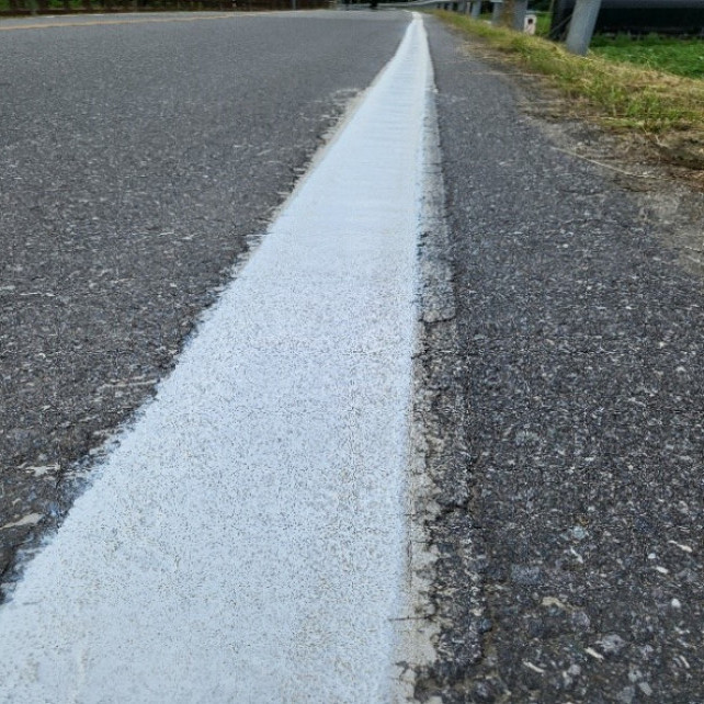 (사진제공=삼화페인트)