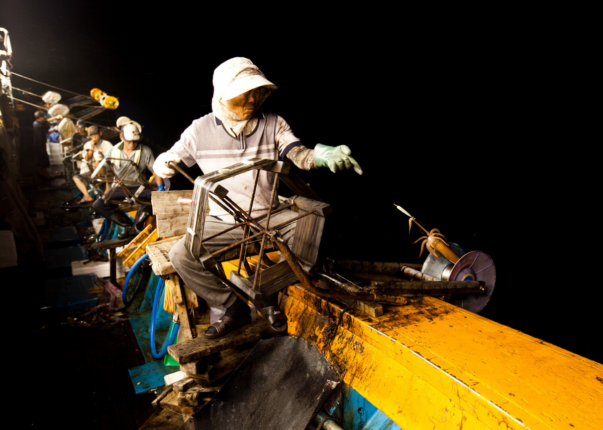 (사진제공=Sh수협중앙회)