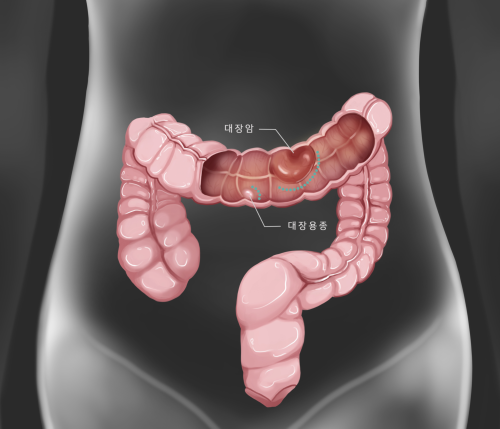 (이미지투데이)
