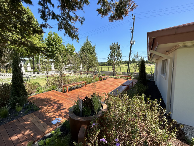 ▲용산어린이정원에 조성된 '내가 그린 정원' 노각나무숲의 회상 (사진제공=서울시)