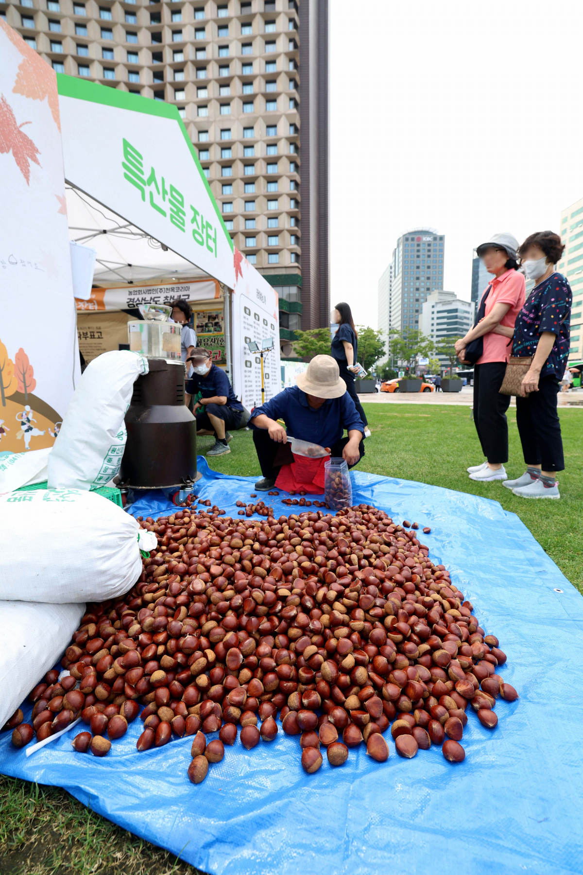 ▲11일 서울 중구 서울광장에서 열린 ‘2023 추석 농수특산물 서울장터’에서 시민들이 장터를 둘러보고 있다. 추석 농수특산물 서울장터는 10개 시·도 150여 개 농가가 참여하는 국내 최대 규모의 직거래 장터로 3일간 시민들에게 질 좋은 농수특산물을 시중 가격보다 최대 30% 저렴하게 구매할 기회를 제공한다. 신태현 기자 holjjak@
