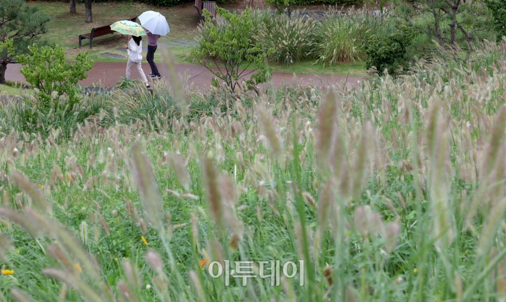 ▲전국에 가을비가 내린 15일 서울 종로구 흥인지문공원에 피어난 수크령 곁으로 우산을 쓴 시민들이 발걸음을 옮기고 있다. 신태현 기자 holjjak@