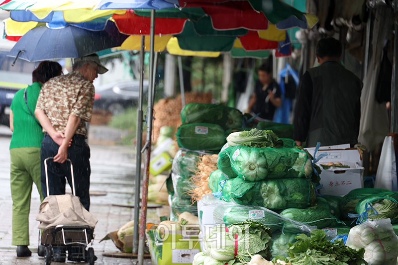 ▲20일 경기도 부천 삼산농산물 도매시장에서 시민들이 배추를 살펴보고 있다. 고이란 기자 photoeran@