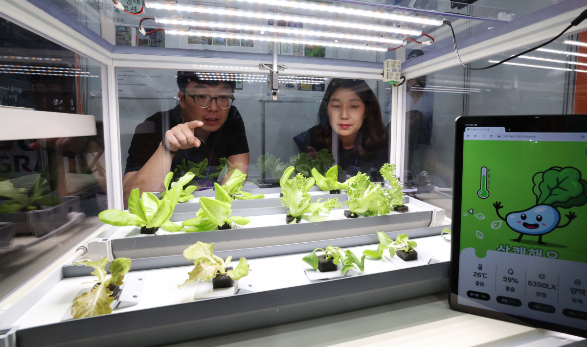 ▲21일 서울 강남구 코엑스에서 열린 ‘2023 에듀테크 코리아 페어’에서 미니 스마트팜을 활용한 인공지능 기반 생태교육솔루션을 관계자들이 시연하고 있다. 에듀테크는 교육(Education)과 기술(Technology)을 합친말이며, 교육부와 산업부 공동주최로 올해 18회째를 맞은 이번 박람회에선 국내외 230여개 기업의 에듀테크 제품과 서비스가 23일까지 전시된다. 신태현 기자 holjjak@