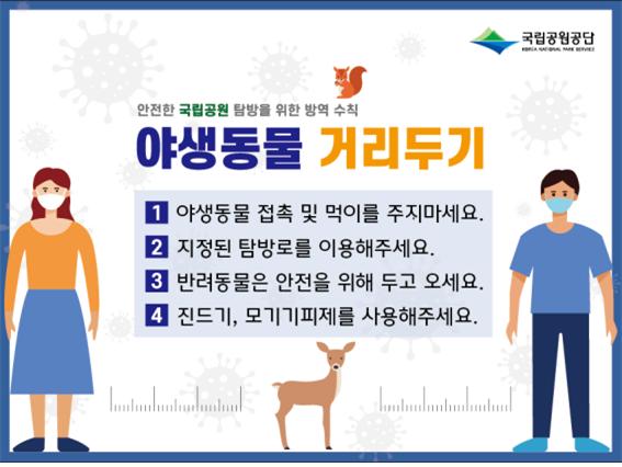 ▲'야생동물 거리두기' 캠페인 홍보자료 (사진제공=국립공원공단)