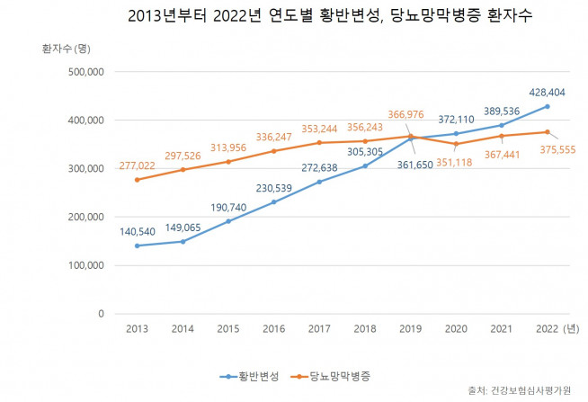 ▲2013년부터 2022년 연도별 황반변성, 당뇨망막병증 환자수 (제공=김안과병원)