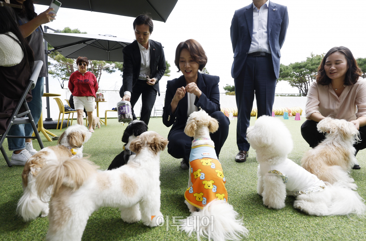 ▲이영 중소벤처기업부 장관이 25일 동행축제 특별판매장 현장 점검을 위해 찾은 서울 양천구 행복한백화점 야외 펫파크 유휴공간에서 강아지들에게 간식을 주고 있다. 조현호 기자 hyunho@