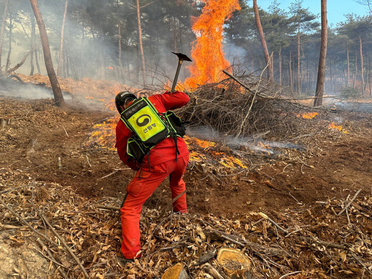 ▲충남 홍성군 서부면 산불현장에서 산림청 공중진화대원이 진화 작업을 하고 있다. (뉴시스)