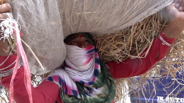 ▲'극한직업'(사진제공=KBS 1TV)